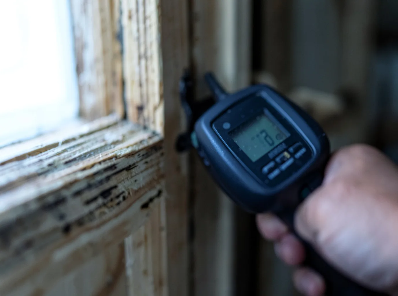 Moisture Inspection And Documentation in Tohatchi, NM